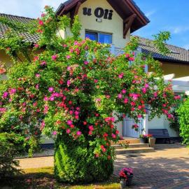 Pokoje Gościnne u Oli, hotel u gradu 'Wisełka'
