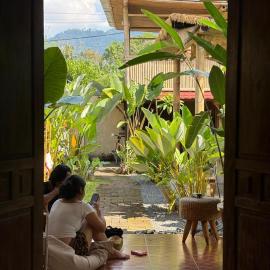 Social Ducks Hostel Borobudur