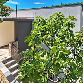 Beautiful Apartment In Obrovac With Wifi