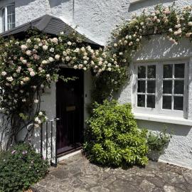 Gorse cottage