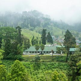 Singell Tea Estate - A CGH Earth Experience – hotel w mieście Dardżyling