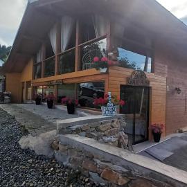 Chalet Alina, hótel í Borşa