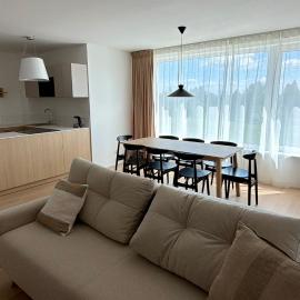 Apartment Family Gerlachov, Vysoke Tatry - free indoor parking, hotel in Vysoké Tatry