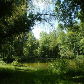 Les Grands Aulnes