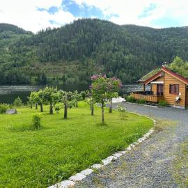 Lakefront Cabin on Vråvatn, hotel in Kviteseid