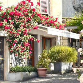 Chez Maie, logement confortable Bugey Sud