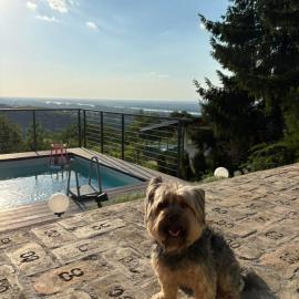 Vila Teja, hotel v destinácii Ledinci