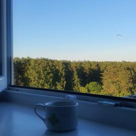 Sunset Bird Watcher Apartament, hotel din Visaginas