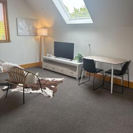 Spacious 1 Bed apartment City centre