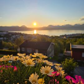 Two rooms apartment with sea view, hotel in Narvik