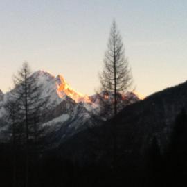 Appartamento Ivo, hotel in Campitello di Fassa
