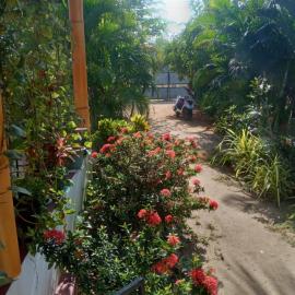 U new guest house