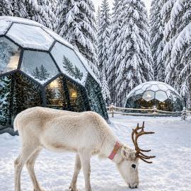 SKOG Aurora Glass Igloos, hotel u gradu Kalix