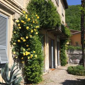 Como lake - Villa Ruscone