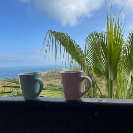L'Écrin des Alizées Vue Océan, Marina Golf, Appartement Tout Équipé, Climatisé, 3 Chambres