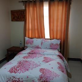 Friendly hostel