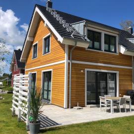 Sonnenbirke