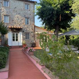 The Olive House