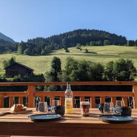 Chalet La Tanière avec Sauna, hotel in Le Grand-Bornand