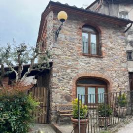 Casa Old Olive