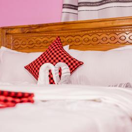 Olivia Green Lodge, hotel in Arusha