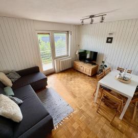 Quiet Ljubljana Suburbs Large Apt and Free Parking