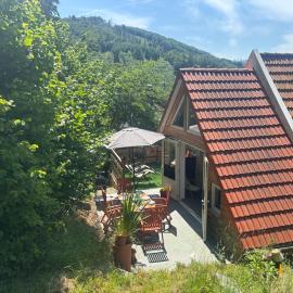 FeWo PacoHaus nähe Willingen Diemelsee