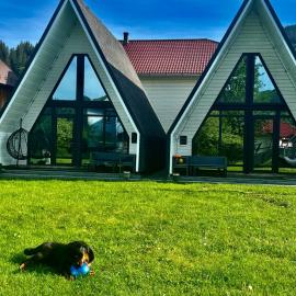 Шале WeLKoMe, hotel in Verkhovyna