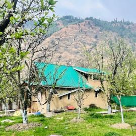 Wildflower oasis cottage, hotel a Raogi