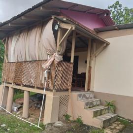anthurium cabin