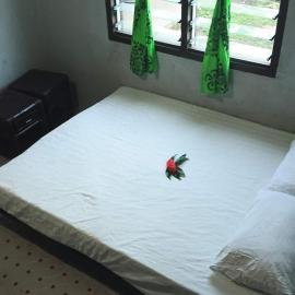Taru Homestay- Your Home away fromHome, ξενοδοχείο σε Yasawa Group