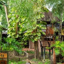Bình An Village - Green Stay, Local Taste and Spa, hotel v mestu Vĩnh Long