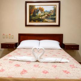 Hotel Milenio