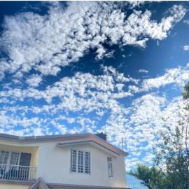 Lotus Villa Homestay，甘托克的飯店