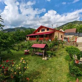 Casa Alina, hotel in Nehoiu