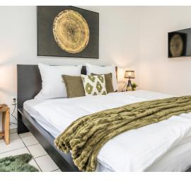 Livesto EasySleep II - 3 Rooms - central, university, WIFI, Smart TV, parking
