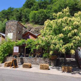 Hôtel Restaurant L'Arbre à Pain, Hotel in Altier