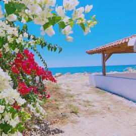 STAY Sea Gem Townhouse, hotel a Meneou