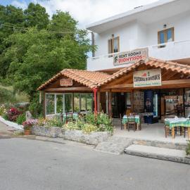 Dionysus House