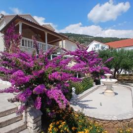 Apartments Mija, viešbutis Bole