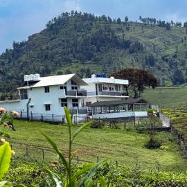 Apna Ghar - A Homestay Beyond Brick Walls