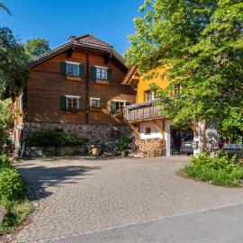 Blick in den Garten