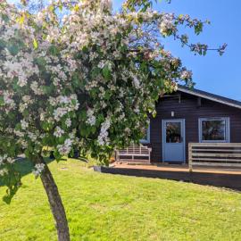 Avallon Lodges