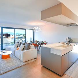 Design Apartment Gottardo with Views over Lugano