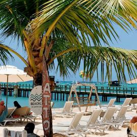 Hotel Garden Flora Punta Cana Beach: Punta Cana'da bir otel