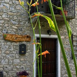 Il Nocciolo