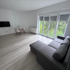 Ferienapartment Sternen Fewo 8, hotel a Baiersbronn