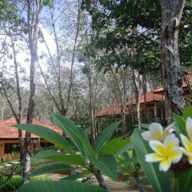 Koh Mook Rubber Tree Bungalows, готель у місті Ко-Мук