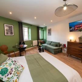 Le Nid d'HAG - Studios & Appartement - Centre Ville - Haguenau, hotel i Haguenau