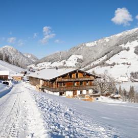 Hacklerhof Top 3, viešbutis mieste Ineralpbachas